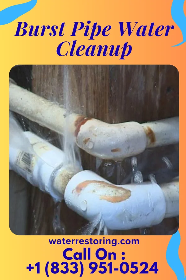 Burst Pipe Water Cleanup in Union Star, MO