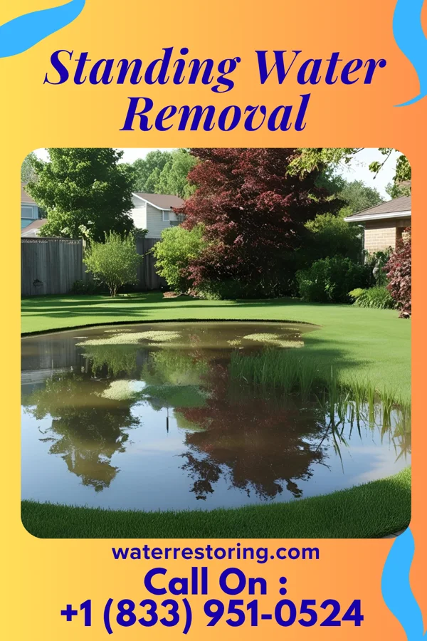 Standing Water Removal in Union Star, MO
